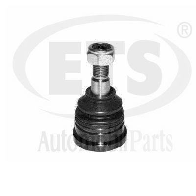 Ball Joint (29.BJ.194)