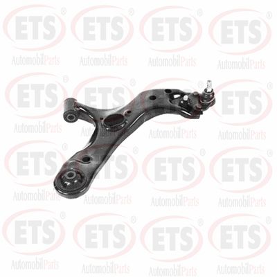 Control/Trailing Arm, wheel suspension (29.TC.693)