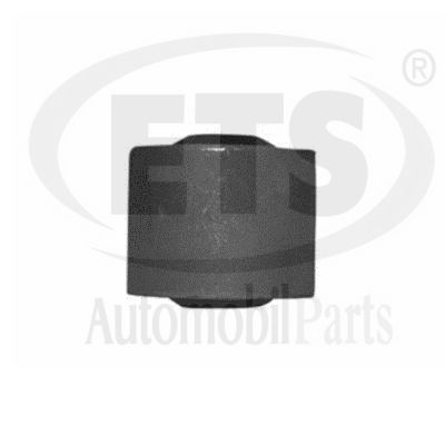 Mounting, control/trailing arm (20.SB.818)