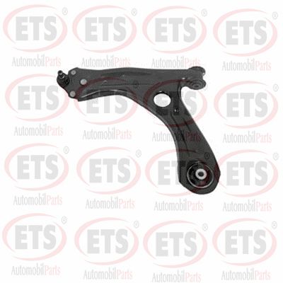 Control/Trailing Arm, wheel suspension (31.TC.668)
