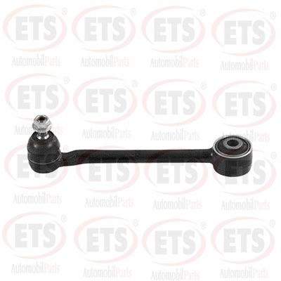 Control/Trailing Arm, wheel suspension (29.TC.729)