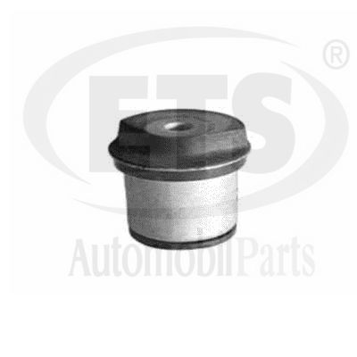 Mounting, control/trailing arm (19.SB.513)