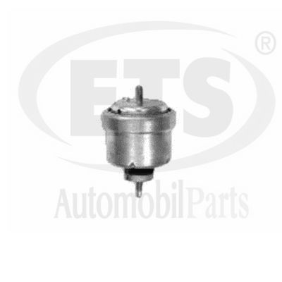 Mounting, engine (19.ST.916)