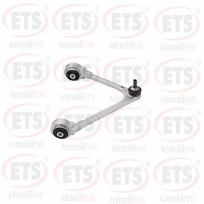 Control/Trailing Arm, wheel suspension (34.TC.969)