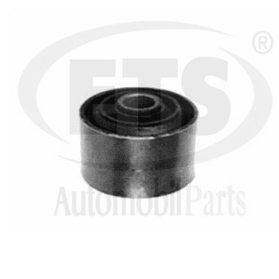 Mounting, control/trailing arm (22.SB.072)