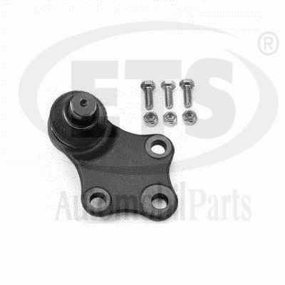 Ball Joint (20.BJ.173)