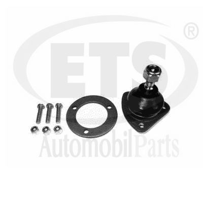 Ball Joint (22.BJ.800)
