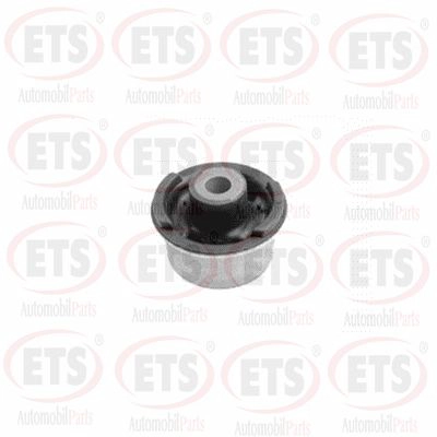 Mounting, control/trailing arm (15.SB.487)
