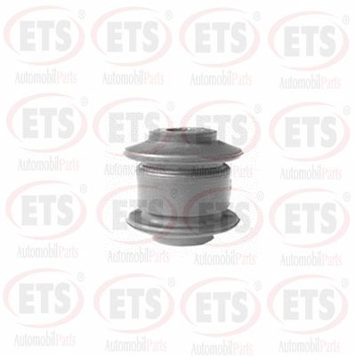 Mounting, control/trailing arm (31.SB.857)