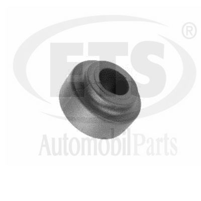 Mounting, engine (15.ST.934)