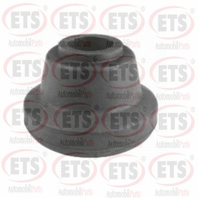 Bracket, stabiliser mounting (19.SR.411)