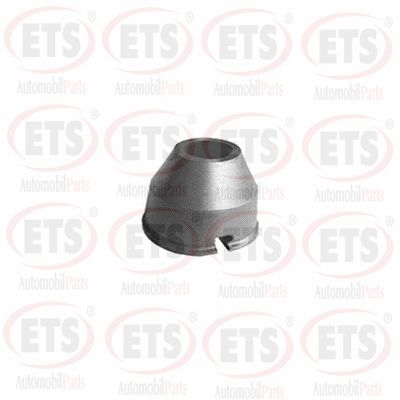 Suspension Strut Support Mount (31.SM.899)
