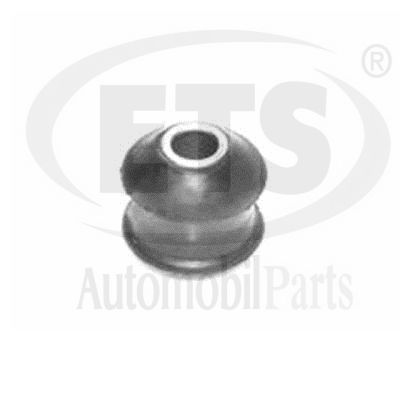 Mounting, control/trailing arm (31.SB.404)