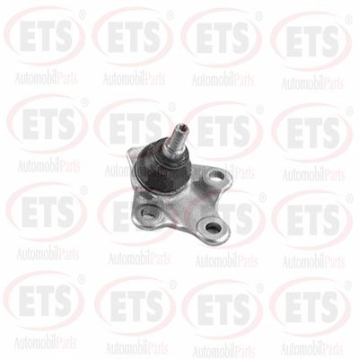 Ball Joint (17.BJ.170)