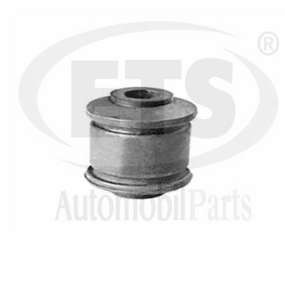 Mounting, control/trailing arm (31.SB.304)