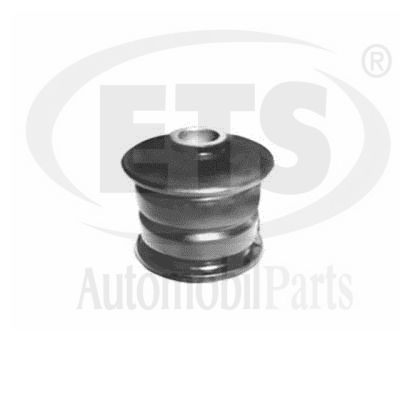 Mounting, control/trailing arm (31.SB.306)