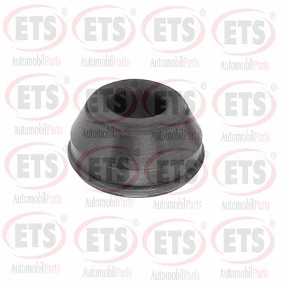 Bushing, axle bracket (31.MB.105)
