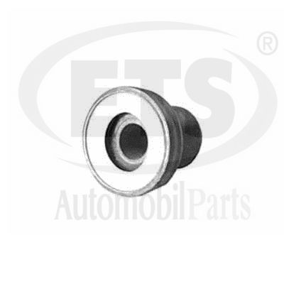 Mounting, control/trailing arm (31.SB.300)