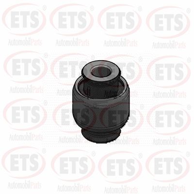 Mounting, control/trailing arm (15.SB.489)