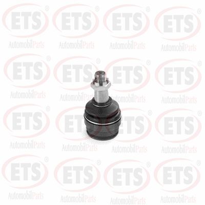 Ball Joint (29.BJ.684)