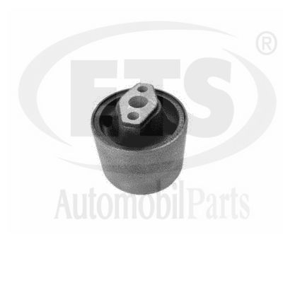 Mounting, control/trailing arm (19.SB.529)