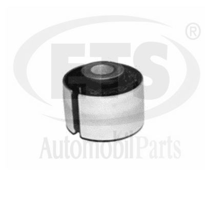 Mounting, control/trailing arm (15.SB.716)