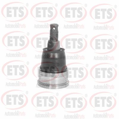 Ball Joint (07.BJ.191)