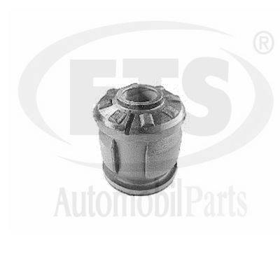 Mounting, control/trailing arm (29.SB.622)