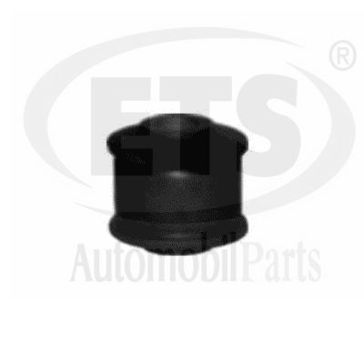 Mounting, control/trailing arm (06.SB.518)