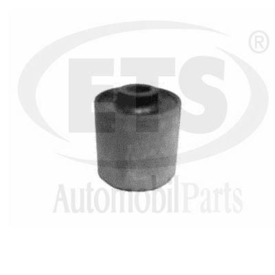 Mounting, control/trailing arm (12.SB.813)