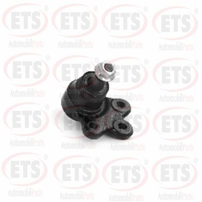 Ball Joint (54.BJ.509)