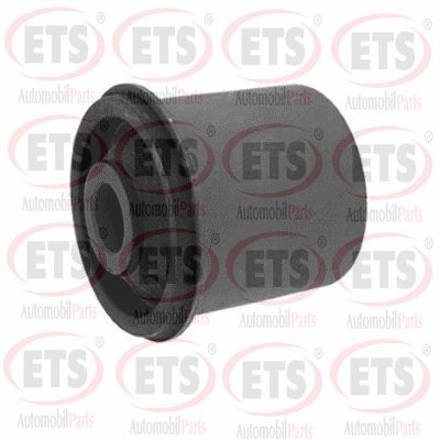 Mounting, control/trailing arm (18.SB.291)