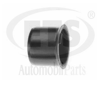 Mounting, control/trailing arm (31.SB.802)