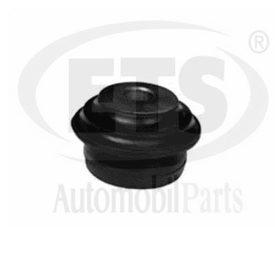 Mounting, control/trailing arm (15.SB.732)