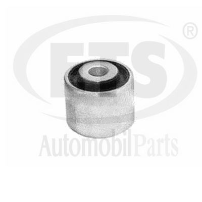 Mounting, control/trailing arm (31.SB.400)