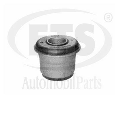 Mounting, control/trailing arm (29.SB.633)