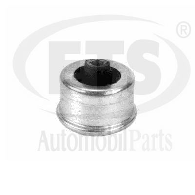 Mounting, control/trailing arm (34.ST.203)