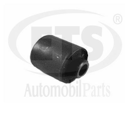 Mounting, control/trailing arm (12.SB.810)