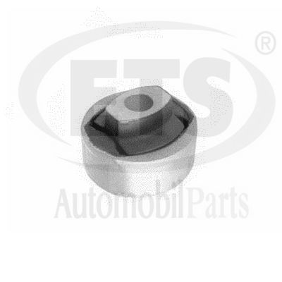 Mounting, control/trailing arm (06.SB.529)