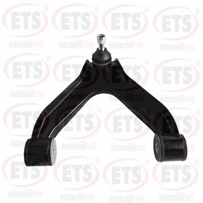Control/Trailing Arm, wheel suspension (53.TC.530)