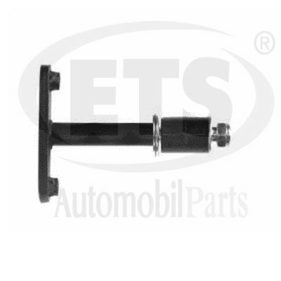 Link/Coupling Rod, stabiliser bar (16.LB.862)