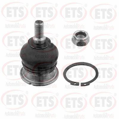 Ball Joint (07.BJ.189)