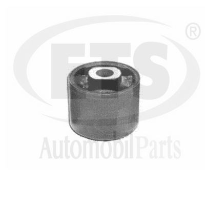 Mounting, control/trailing arm (19.SB.493)