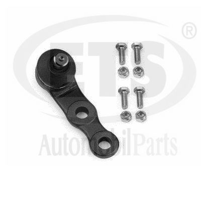 Ball Joint (19.BJ.101)