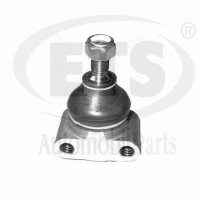 Ball Joint (34.BJ.810)