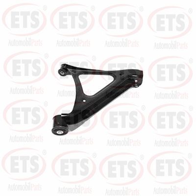 Control/Trailing Arm, wheel suspension (02.TC.315)