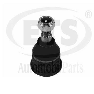 Ball Joint (19.BJ.113)