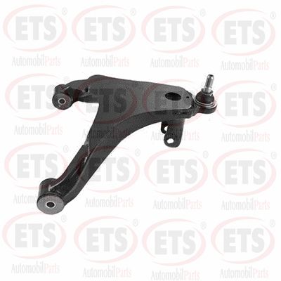 Control/Trailing Arm, wheel suspension (53.TC.531)