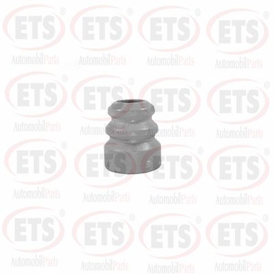 Suspension Strut Support Mount (31.SM.837)