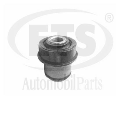 Mounting, control/trailing arm (18.SB.253)